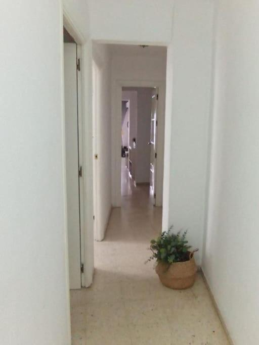 Apartamento Plaza Toros Sevilla Exteriér fotografie